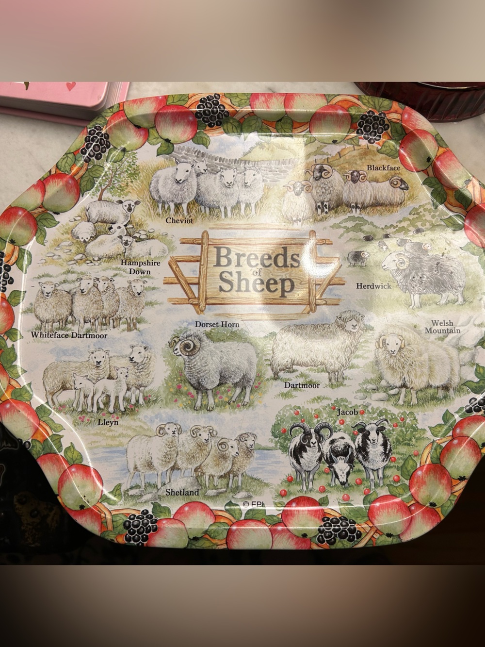 Breeds of Sheep Decorative Serving Tray - Pastel White & Green